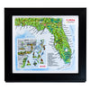 TestPlayNA 3D raised relief map of Florida and Miami showing coastline, Everglades, and cities