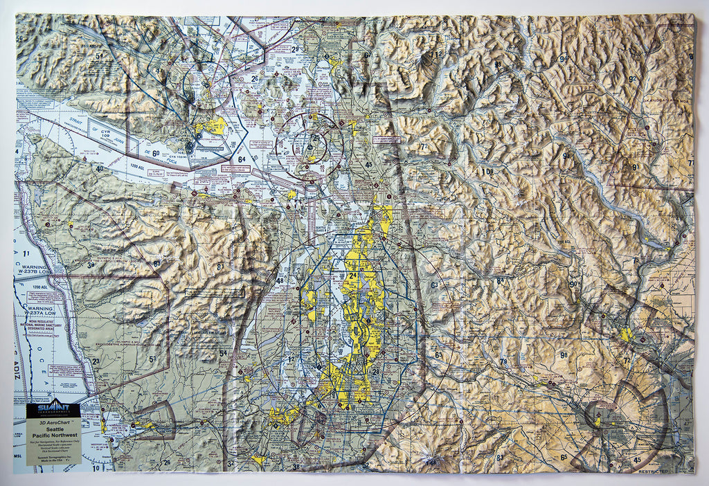 Seattle Aerochart Three Dimensional 3D Raised Relief Map